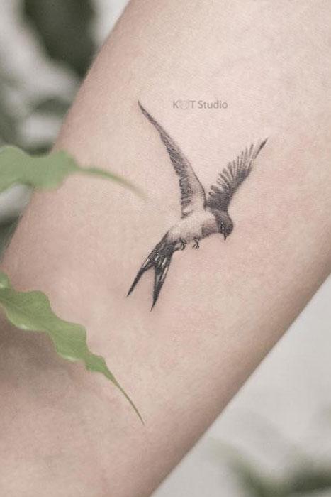 Тату птиц — значение и фото татуировок года